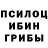 Галлюциногенные грибы GOLDEN TEACHER Givi Arabidze