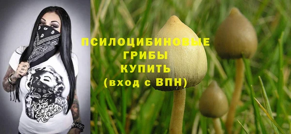 ALPHA PVP Новодвинск
