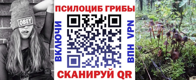 Псилоцибиновые грибы мухоморы  Терек 